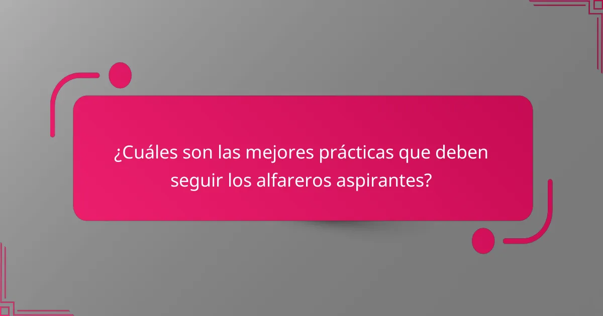 ¿Cuáles son las mejores prácticas que deben seguir los alfareros aspirantes?